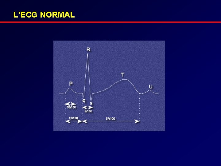 L’ECG NORMAL 