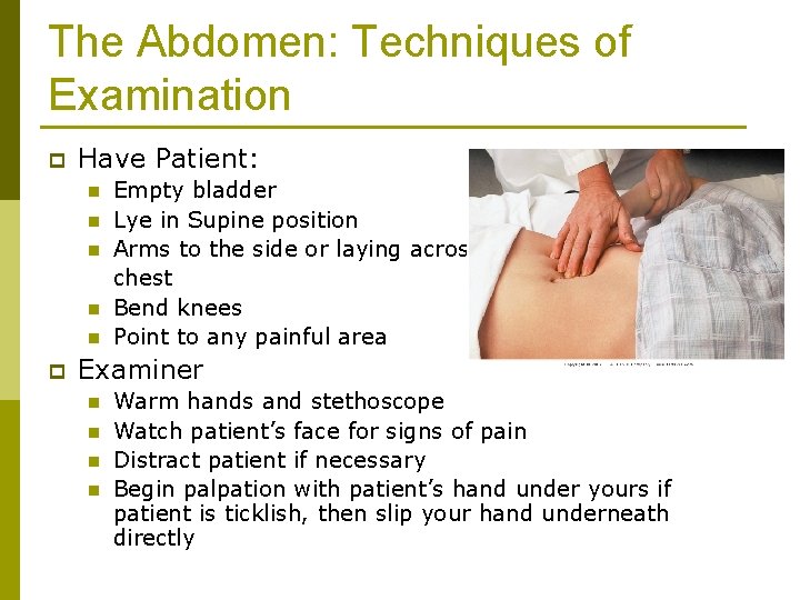 The Abdomen: Techniques of Examination p Have Patient: n n n p Empty bladder