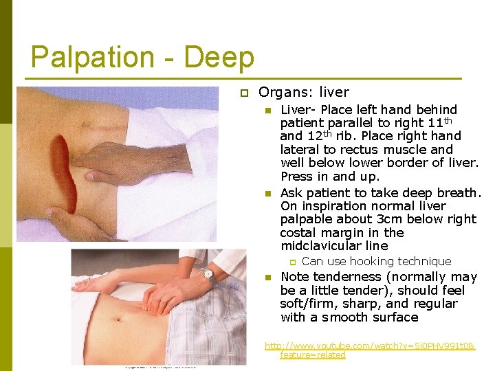 Palpation - Deep p Organs: liver n n Liver- Place left hand behind patient
