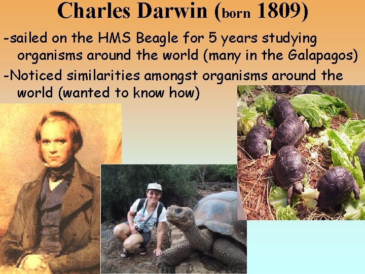 Darwin and Natural Selection Charles Darwin born 1809