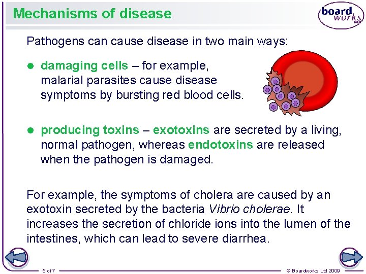 Mechanisms of disease Pathogens can cause disease in two main ways: l damaging cells