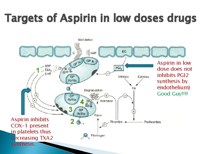 Targets of Aspirin in low doses drugs Aspirin in low dose does not inhibits