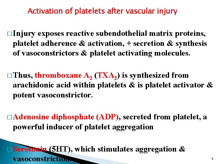 Activation of platelets after vascular injury � Injury exposes reactive subendothelial matrix proteins, platelet