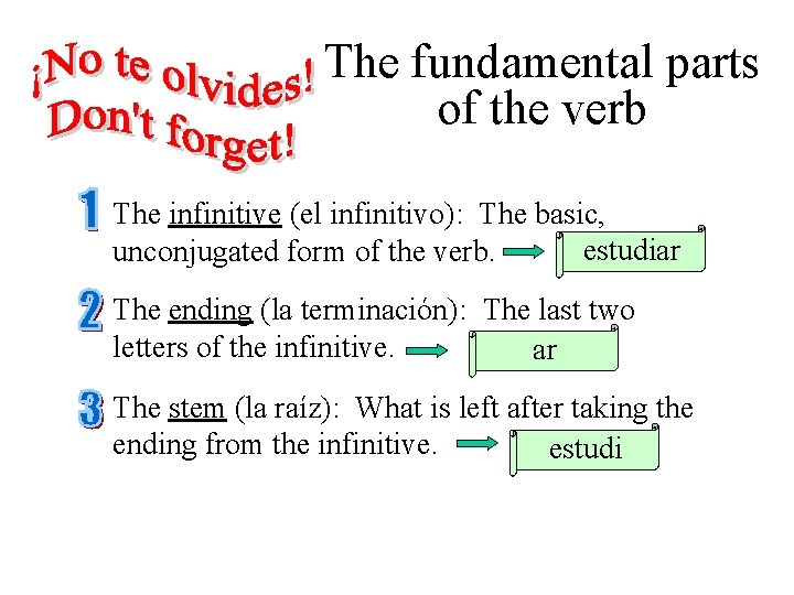 The fundamental parts of the verb The infinitive (el infinitivo): The basic, estudiar unconjugated