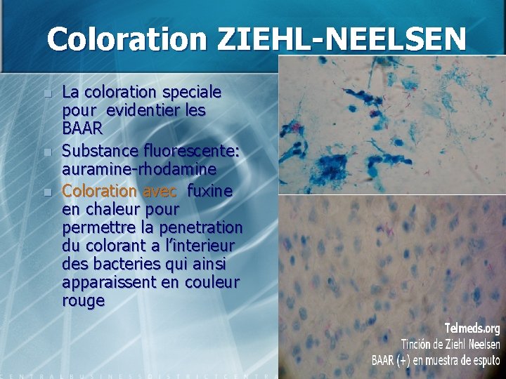 Coloration ZIEHL-NEELSEN n n n La coloration speciale pour evidentier les BAAR Substance fluorescente: