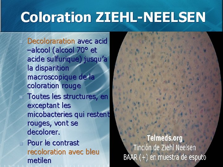 Coloration ZIEHL-NEELSEN n n n Decoloraration avec acid –alcool (alcool 70° et acide sulfurique)