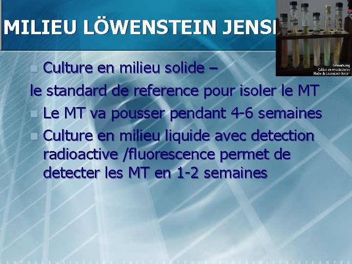 MILIEU LÖWENSTEIN JENSEN Culture en milieu solide – le standard de reference pour isoler