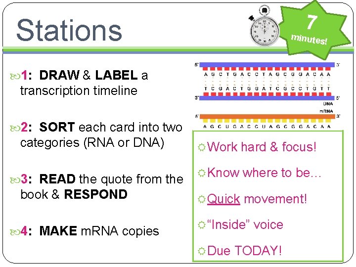 7 Stations minutes ! 1: DRAW & LABEL a transcription timeline 2: SORT each