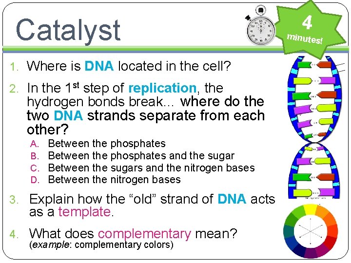 Catalyst 1. Where is DNA located in the cell? 2. In the 1 st