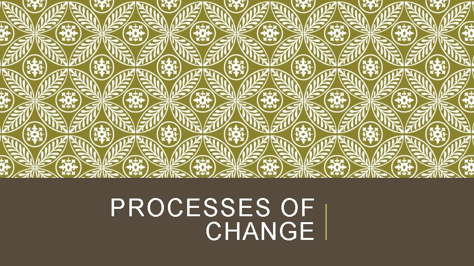 PROCESSES OF CHANGE 