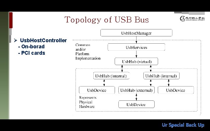 Topology of USB Bus Ø Usb. Host. Controller - On-borad - PCI cards 