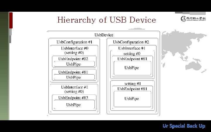 Hierarchy of USB Device 