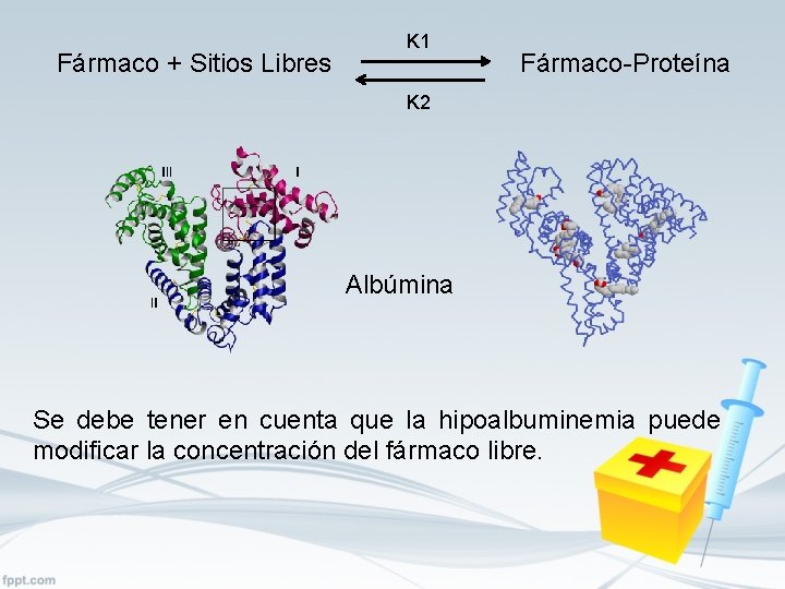 Fármaco + Sitios Libres K 1 Fármaco-Proteína K 2 Albúmina Se debe tener en