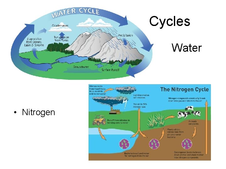 Cycles Water • Nitrogen 