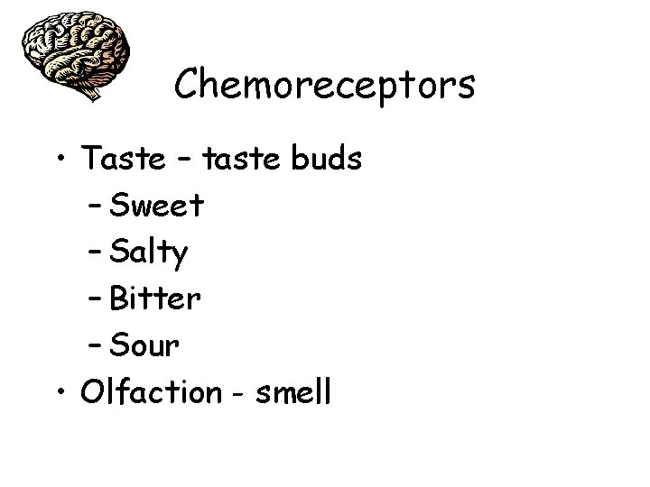 Chemoreceptors • Taste – taste buds – Sweet – Salty – Bitter – Sour