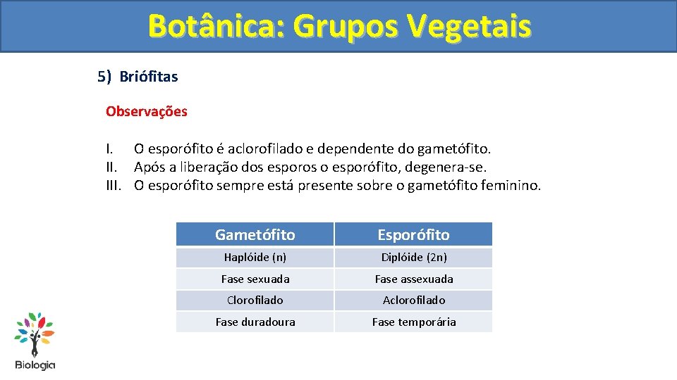 Botânica: Grupos Vegetais 5) Briófitas Observações I. O esporófito é aclorofilado e dependente do