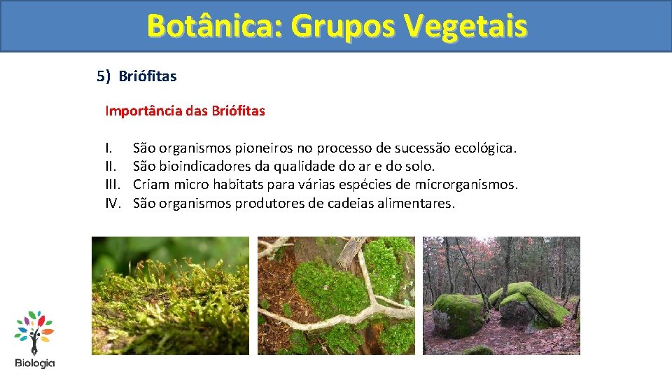 Botânica: Grupos Vegetais 5) Briófitas Importância das Briófitas I. III. IV. São organismos pioneiros