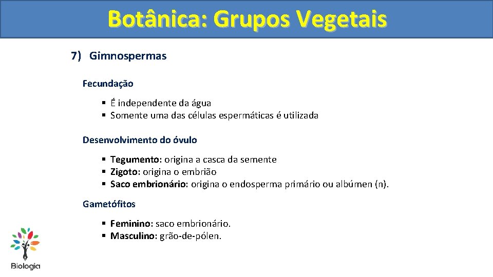 Botânica: Grupos Vegetais 7) Gimnospermas Fecundação § É independente da água § Somente uma