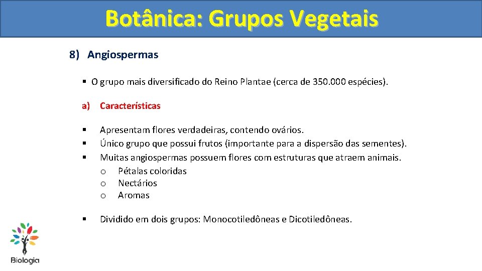 Botânica: Grupos Vegetais 8) Angiospermas § O grupo mais diversificado do Reino Plantae (cerca