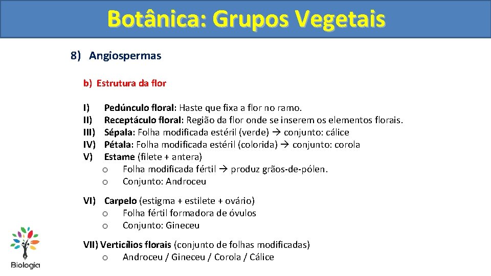 Botânica: Grupos Vegetais 8) Angiospermas b) Estrutura da flor I) III) IV) V) Pedúnculo