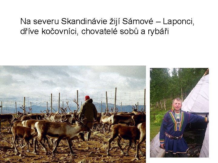 Na severu Skandinávie žijí Sámové – Laponci, dříve kočovníci, chovatelé sobů a rybáři 