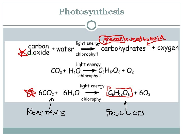 Photosynthesis 