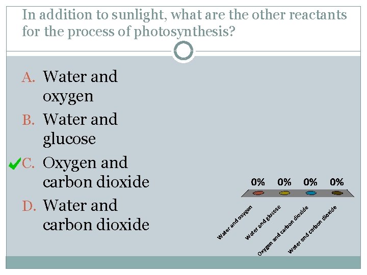 In addition to sunlight, what are the other reactants for the process of photosynthesis?