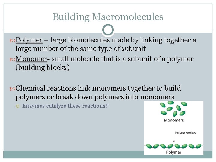 Building Macromolecules Polymer – large biomolecules made by linking together a large number of