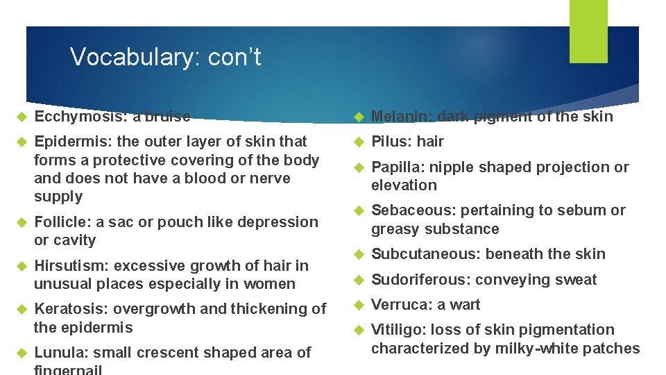 Vocabulary: con’t Ecchymosis: a bruise Melanin: dark pigment of the skin Epidermis: the outer