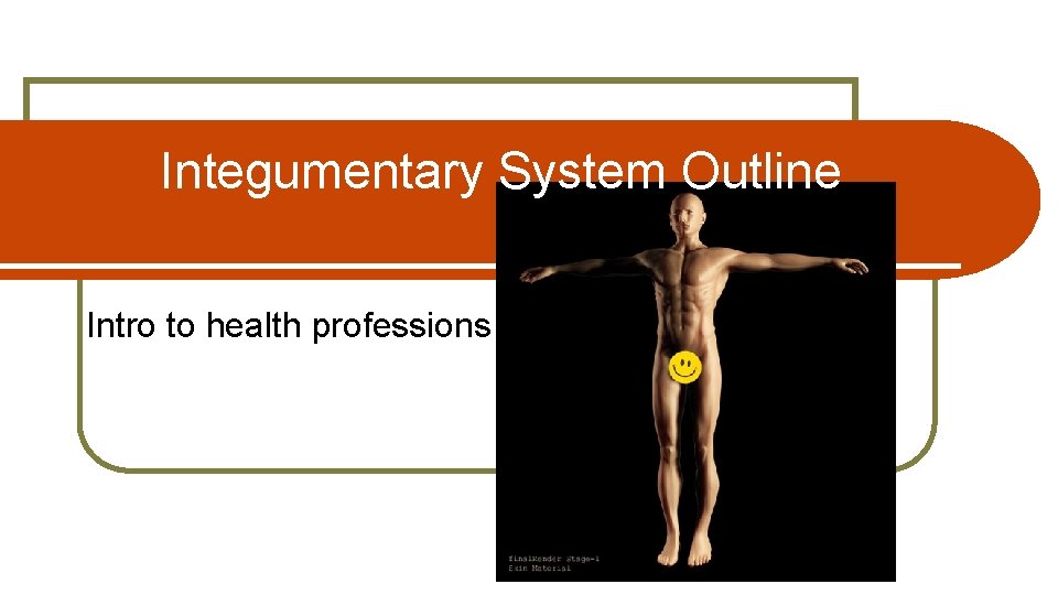 Integumentary System Outline Intro to health professions 