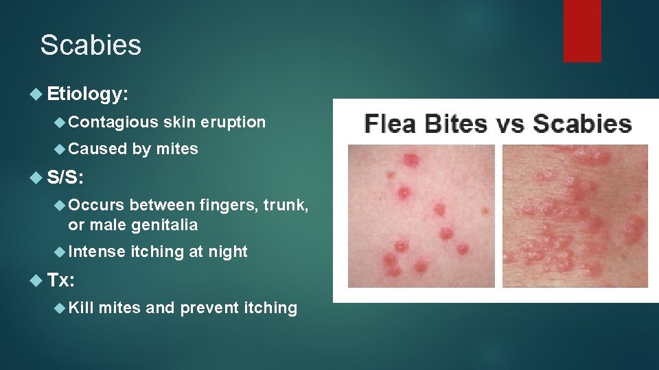 Scabies Etiology: Contagious Caused skin eruption by mites S/S: Occurs between fingers, trunk, or