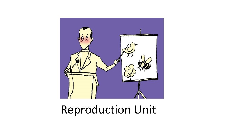 Reproduction Unit 