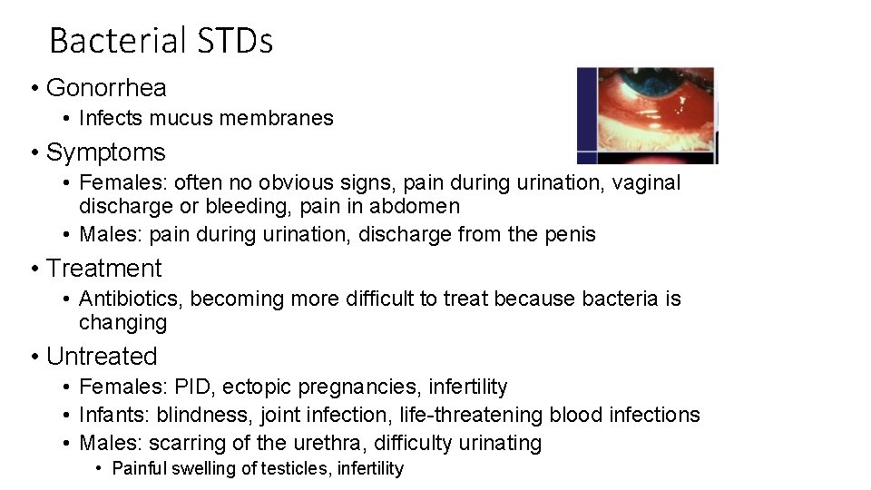 Bacterial STDs • Gonorrhea • Infects mucus membranes • Symptoms • Females: often no