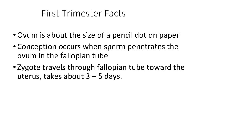 First Trimester Facts • Ovum is about the size of a pencil dot on