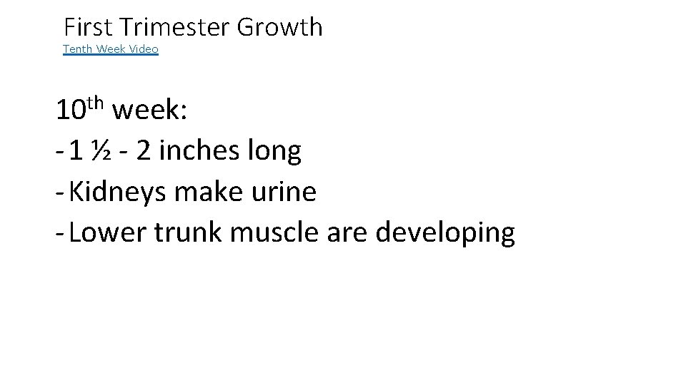 First Trimester Growth Tenth Week Video 10 th week: - 1 ½ - 2