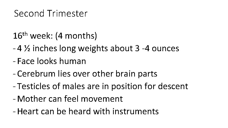 Second Trimester 16 th week: (4 months) - 4 ½ inches long weights about
