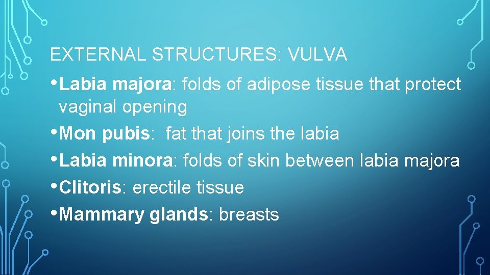 EXTERNAL STRUCTURES: VULVA • Labia majora: folds of adipose tissue that protect vaginal opening