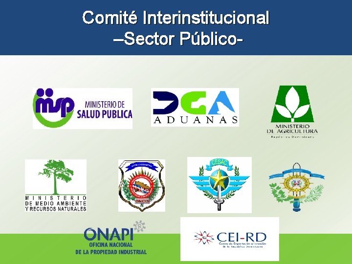 Comité Interinstitucional PUBLIC–Sector SECTOR COMITTEE Público- 