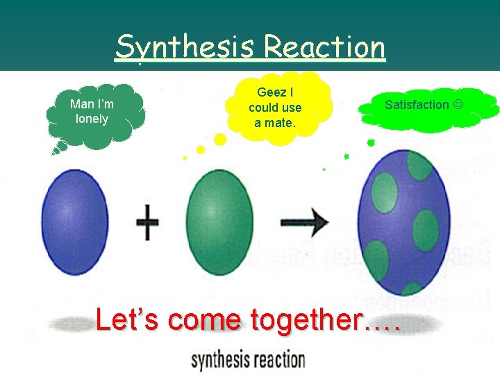Synthesis Reaction Man I’m lonely Geez I could use a mate. Satisfaction Let’s come