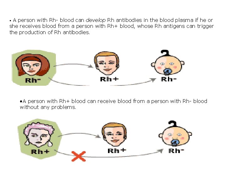 A person with Rh- blood can develop Rh antibodies in the blood plasma if