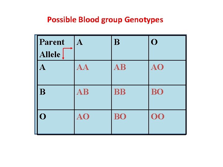 Possible Blood group Genotypes Parent Allele A A B O AA AB AO B