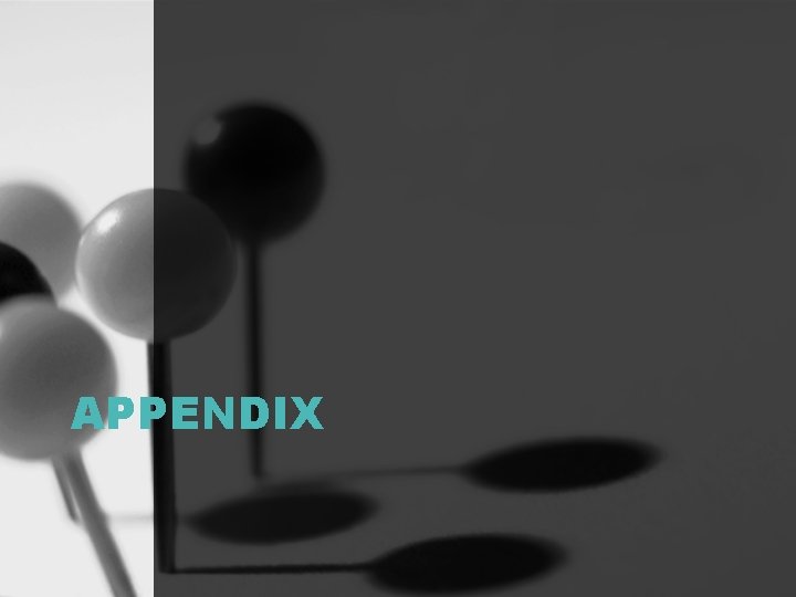 APPENDIX 