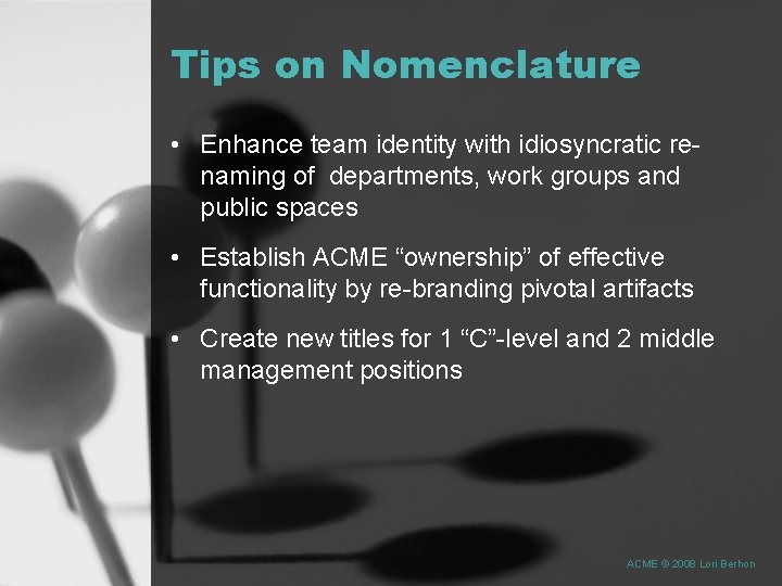 Tips on Nomenclature • Enhance team identity with idiosyncratic renaming of departments, work groups