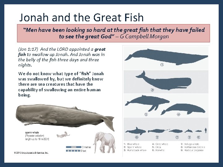 Jonah and the Great Fish “Men have been looking so hard at the great Jonah and the Great Fish “Men have been looking so hard at the great