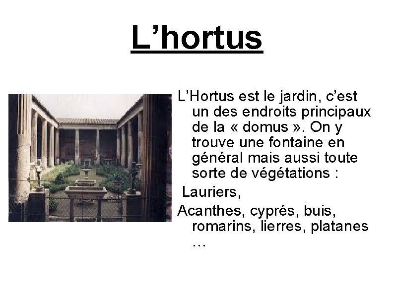 L’hortus L’Hortus est le jardin, c’est un des endroits principaux de la « domus