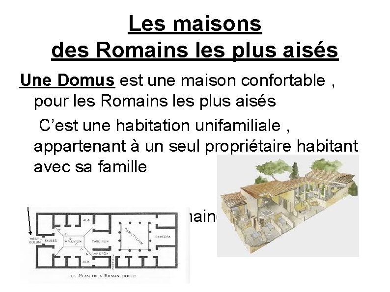 Les maisons des Romains les plus aisés Une Domus est une maison confortable ,