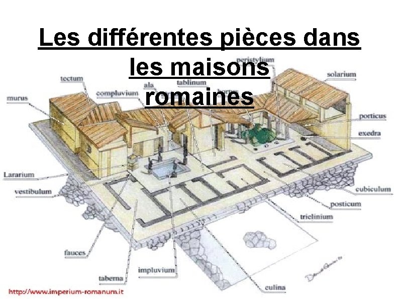 La maison et la famille romaine Immeuble romain — free download