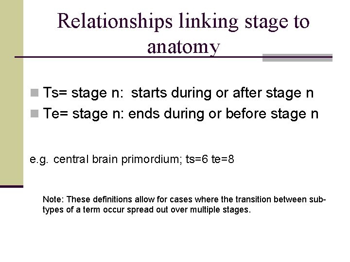 Relationships linking stage to anatomy n Ts= stage n: starts during or after stage