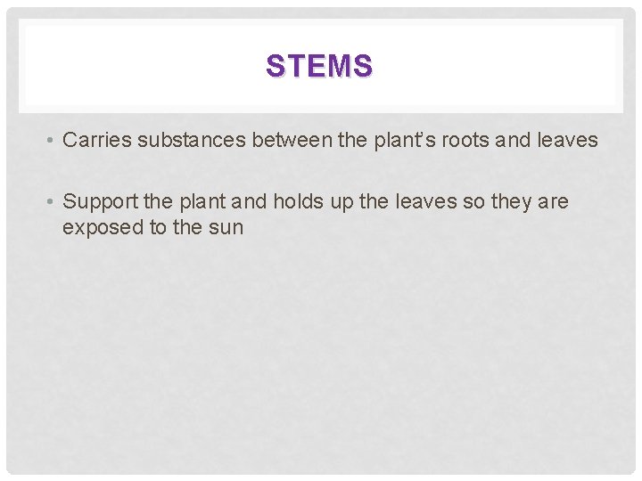 STEMS • Carries substances between the plant’s roots and leaves • Support the plant
