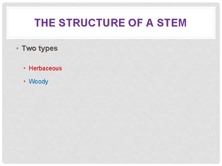 THE STRUCTURE OF A STEM • Two types • Herbaceous • Woody 